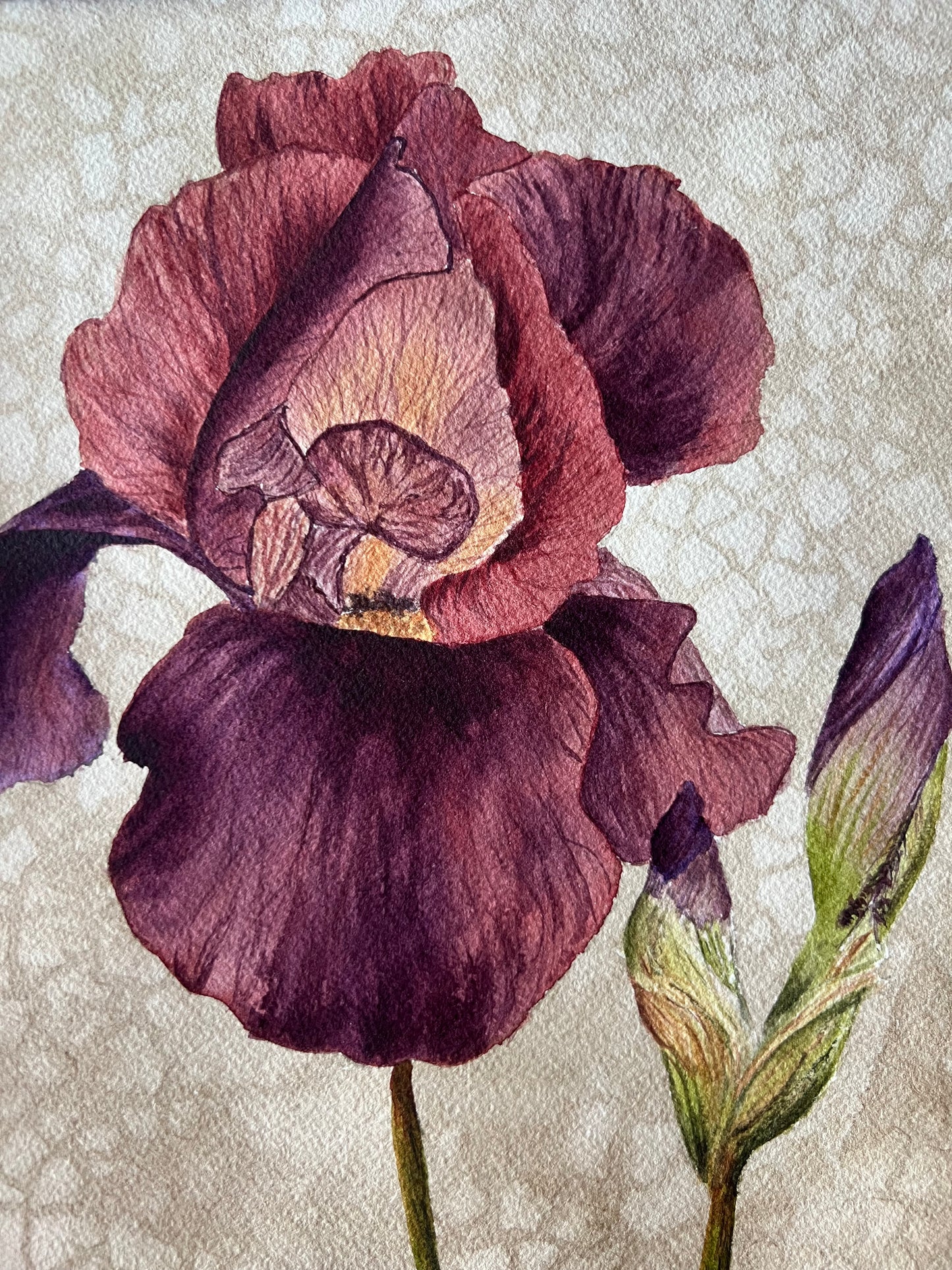 Original Watercolor - “Velvet Whispers”