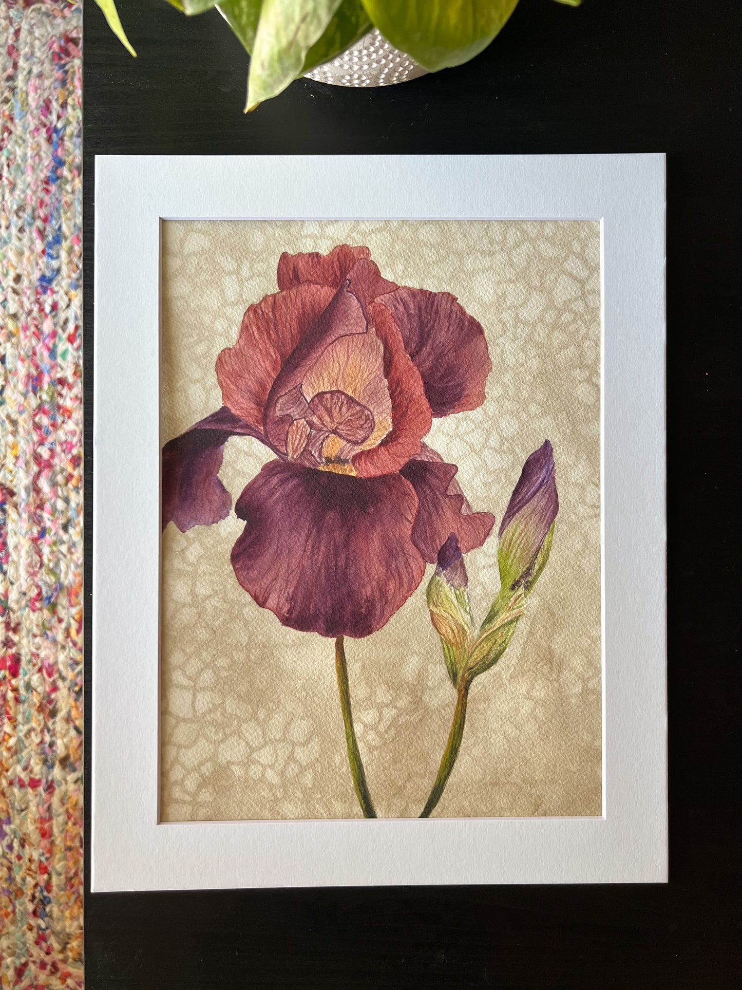 Original Watercolor - “Velvet Whispers”