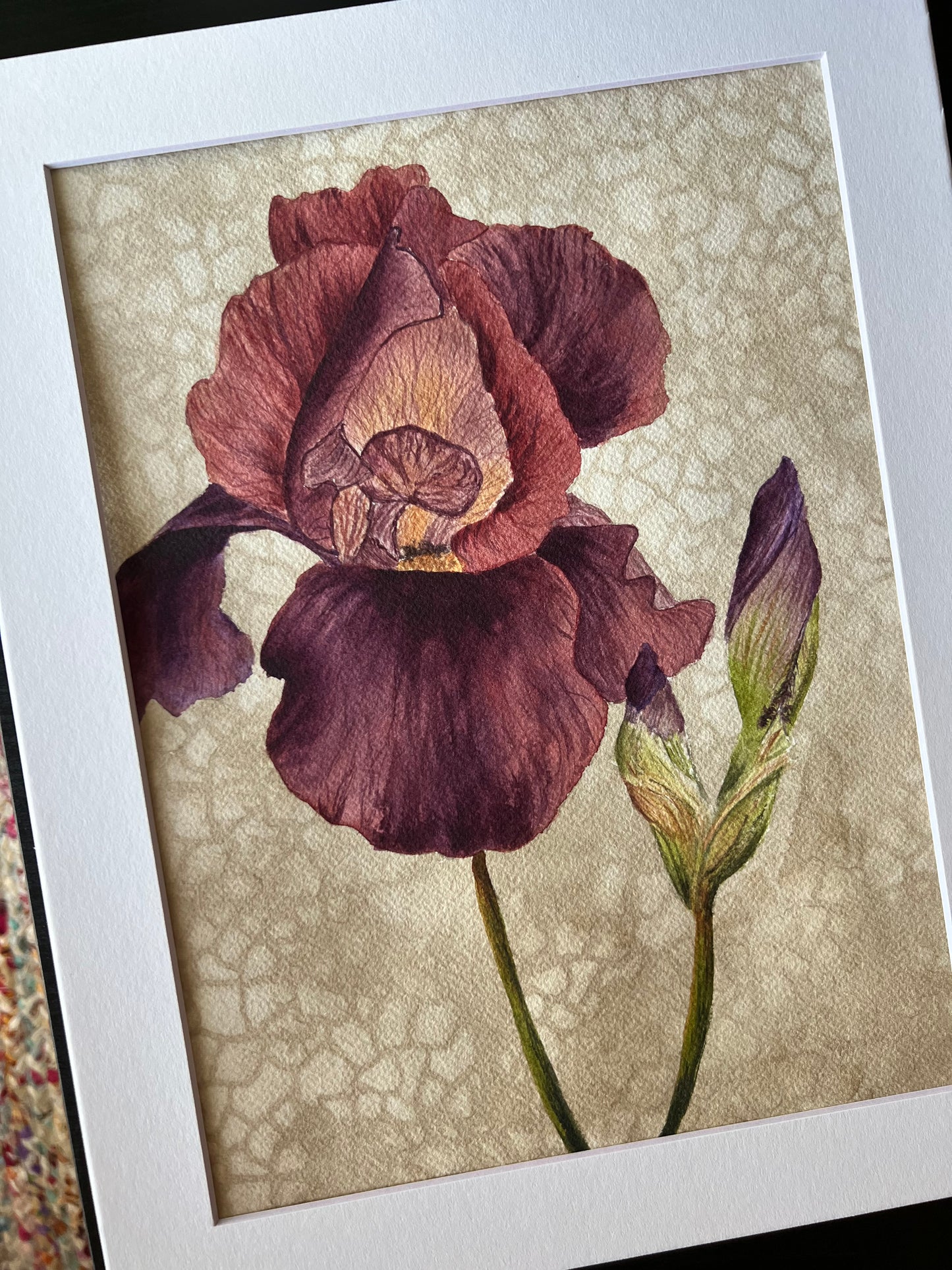 Original Watercolor - “Velvet Whispers”